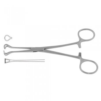 Babcock Intestinal and Tissue Grasping Forceps Stainless Steel, 21 cm - 8 1/4"